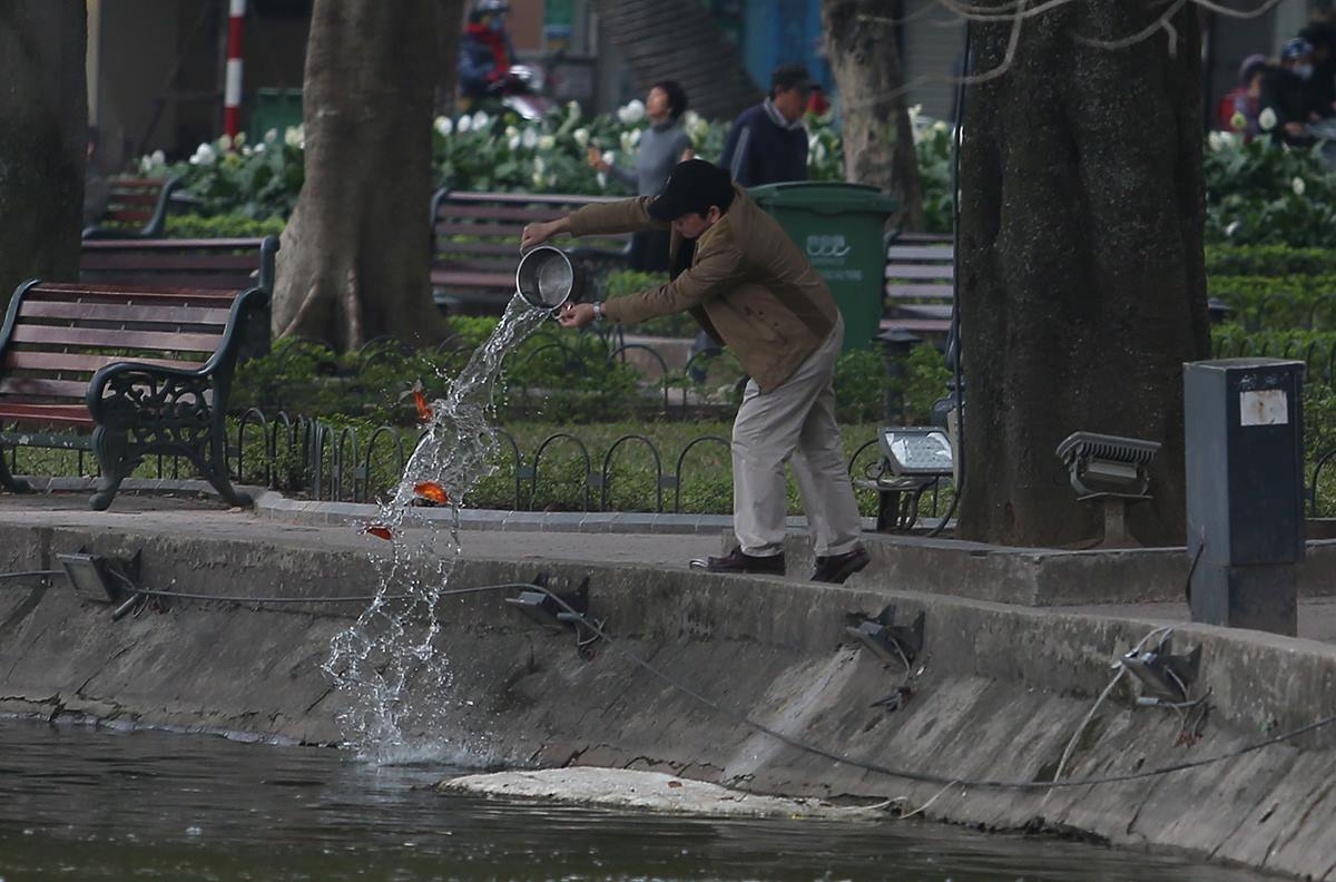 Tết ông Táo: Rét cắt da, em bé theo cha đi thả cá chép sáng sớm